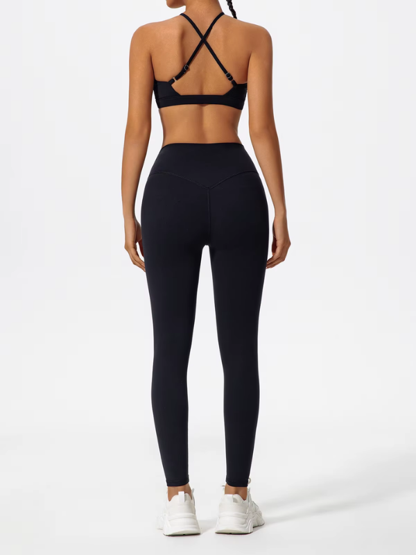 Ensemble- Zenith